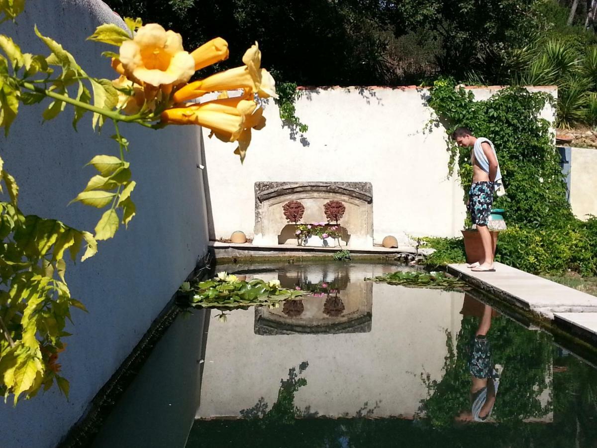 La Royante Bed and Breakfast Aubagne Buitenkant foto
